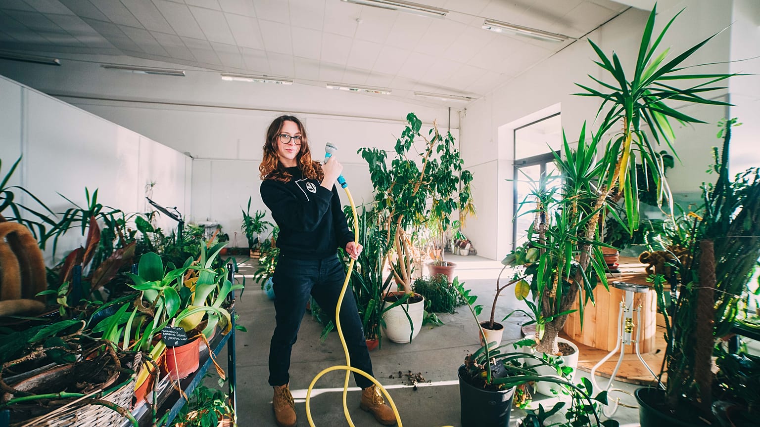 Aistė Virketė rescues plants that no one wants at her plant shelter in Lithuania.