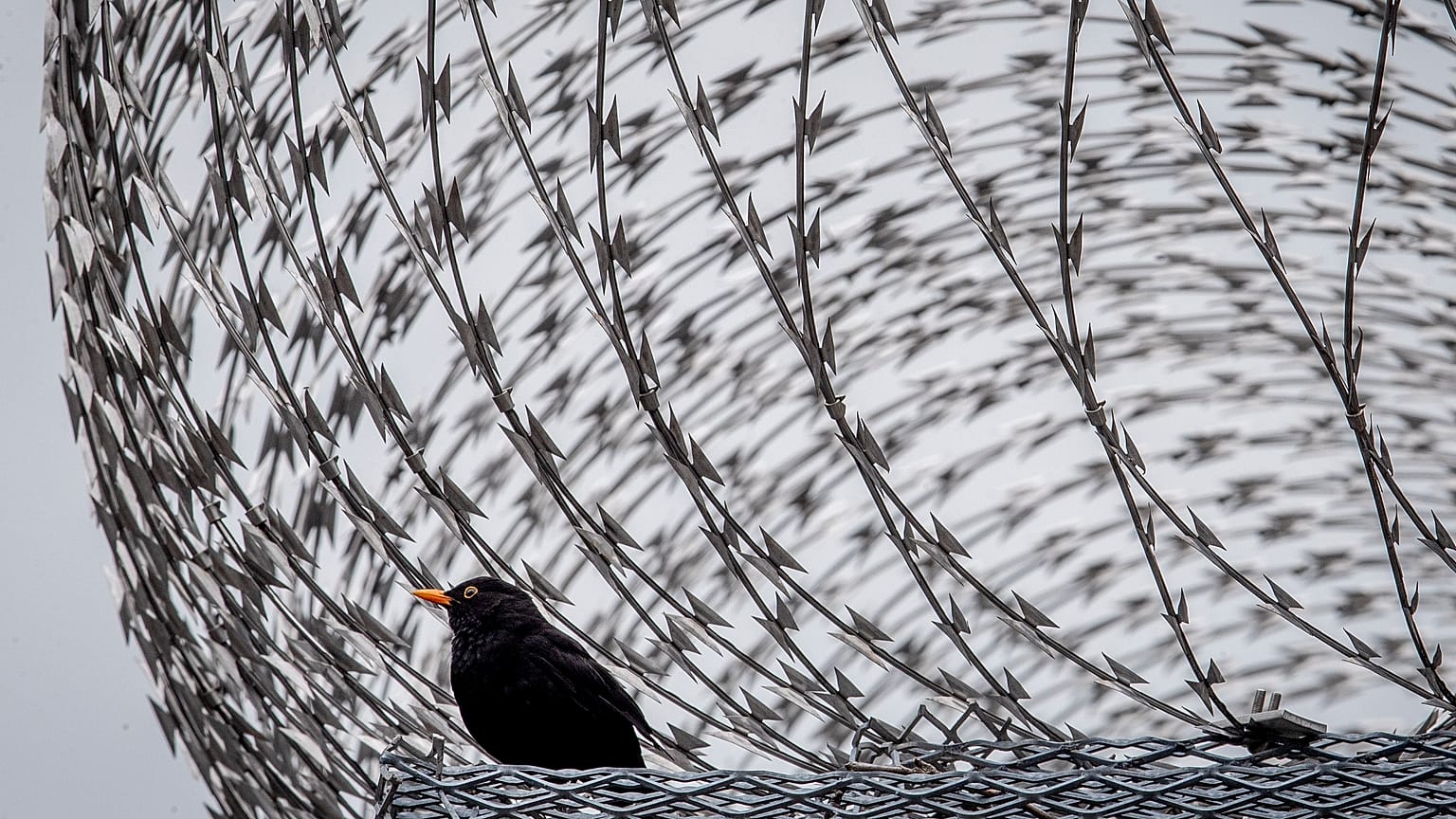 Hinter Gittern und Zäunen wurden Covid-Ausbrüche besonders gefährlich.