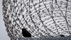 Hinter Gittern und Zäunen wurden Covid-Ausbrüche besonders gefährlich.