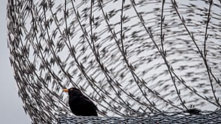 Hinter Gittern und Zäunen wurden Covid-Ausbrüche besonders gefährlich.