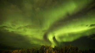 euronews