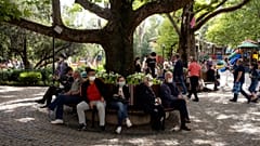 Ankara Kuğulu Park'ta maskeyle oturanlar 