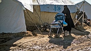مخيم الهول في محافظة الحسكة، يناير 2020