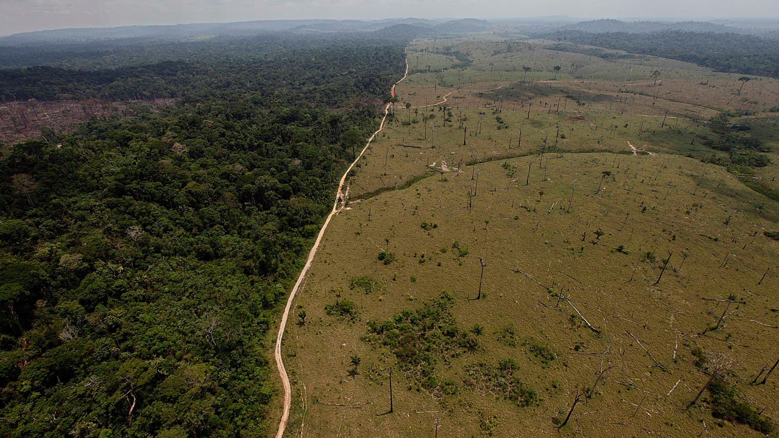 Brasil bate recorde de exportações no agronegócio