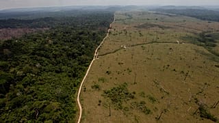 Brasil bate recorde de exportações no agronegócio