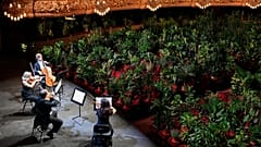 Barcelona opera house opens with concert exclusively for plants 