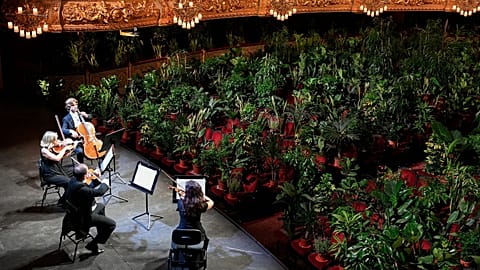 Barcelona opera house opens with concert exclusively for plants 