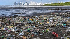 Garbage, including plastic waste, is seen on the beach of the Costa del Este neighbourhood in Panama City, Panama 