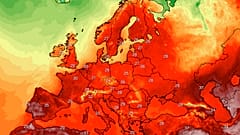 Temperaturas máximas durante la semana (media)
