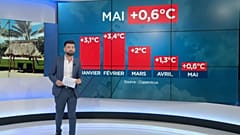 Vague de chaleur : l'année 2020 va-t-elle battre de nouveaux records ?