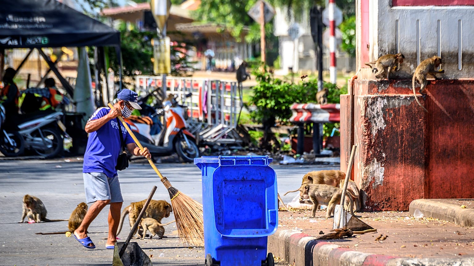 Un homme nettoyant un rond-point, l'un des principaux points de rassemblement des macaques à Lopburi, le 20 juin 2020