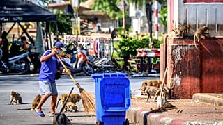 Un homme nettoyant un rond-point, l'un des principaux points de rassemblement des macaques à Lopburi, le 20 juin 2020