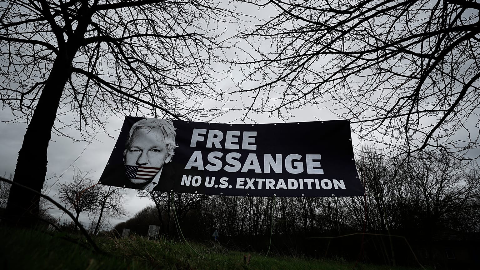 Unterstützungsbanner für Assange