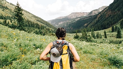 Walking in nature is good for your mental health.