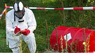 Environmental crime is an increasingly serious problem that France is now making illegal. 