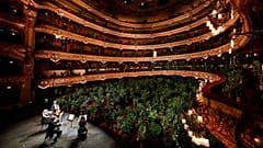 The Uceli Quartet perform Puccini’s Crisantemi for more than 2000 plants in Gran Teatre del Liceu (Barcelona opera house) when it reopened after 3 months closure