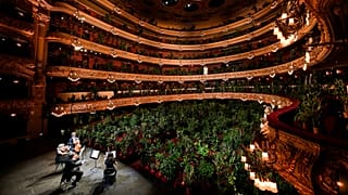 The Uceli Quartet perform Puccini’s Crisantemi for more than 2000 plants in Gran Teatre del Liceu (Barcelona opera house) when it reopened after 3 months closure