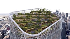Stunning 'hybrid timber' tower will be the tallest in the world