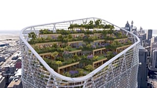 Stunning 'hybrid timber' tower will be the tallest in the world