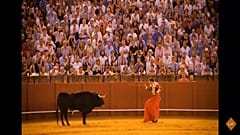 Corrida, inchiesta della LAV: nel mirino il "marcio" morale, economico e sanitario 