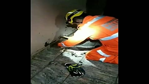 Au Brésil, sauvetage délicat d'un chiot coincé sous le plancher