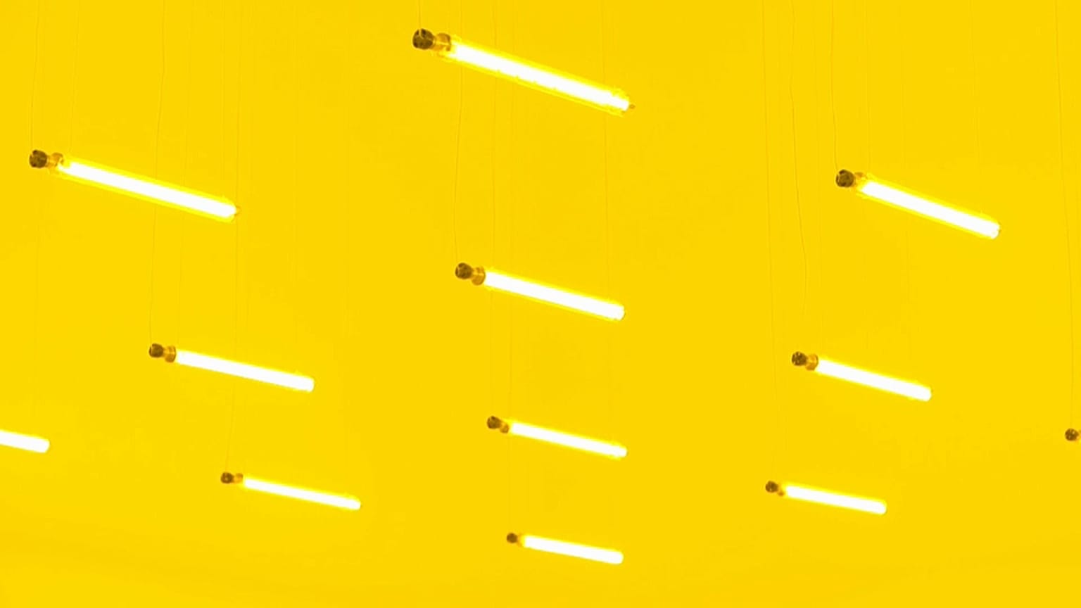 Olafur Eliasson
