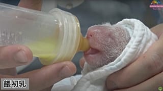 Extracted from video 