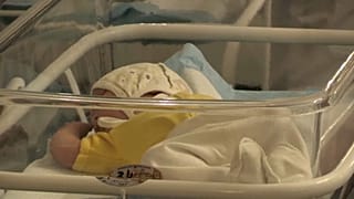 Малыши ждут своих биологи