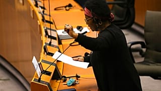 Pierette Herzberger-Fofana