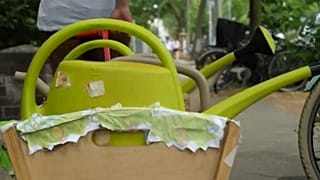 Dürre bedroht Bäume: Berliner an die Gießkannen!