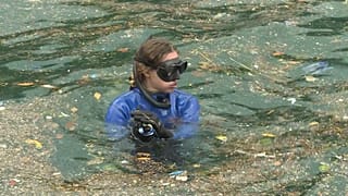Şahika Ercümen