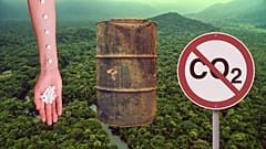 Plants have the power to heal, decontaminate soil and capture CO2