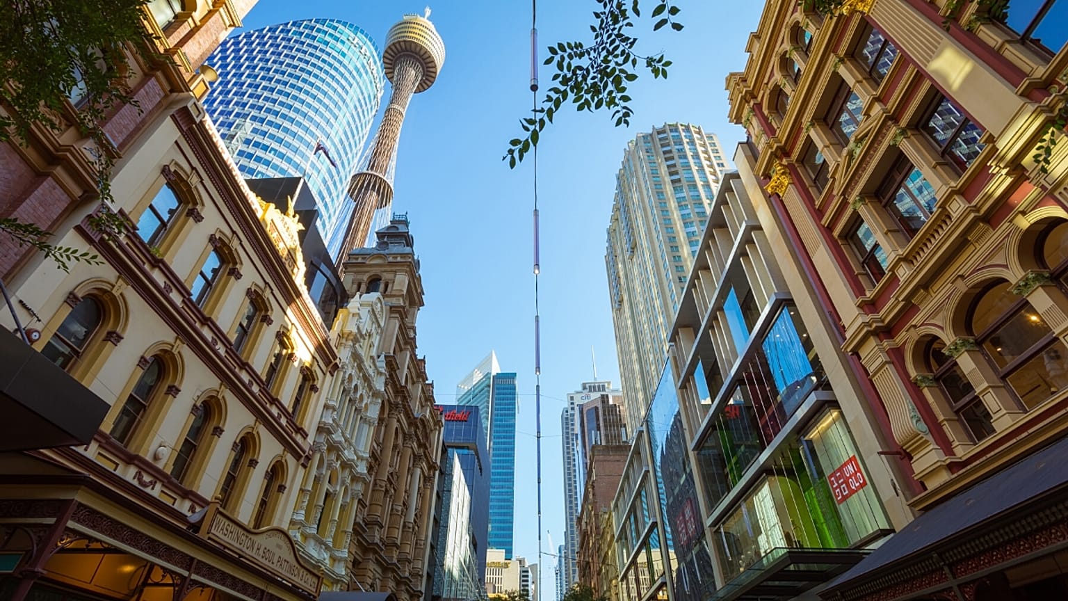 The City of Sydney district is now entirely powered by clean energy.