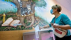 ЕС призвал Россию расследовать нарушения в ходе голосования по Конституции