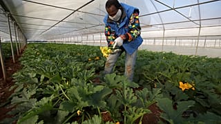 En Italie, un plan de régularisations qui peine à tenir ses promesses