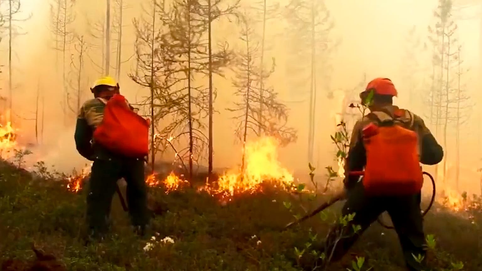 Des incendies ravagent les forêts en Sibérie