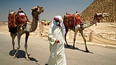 A camel guide wears a surgical mask while pulling his camel at the Giza Pyramids in Giza, Egypt