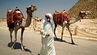 A camel guide wears a surgical mask while pulling his camel at the Giza Pyramids in Giza, Egypt