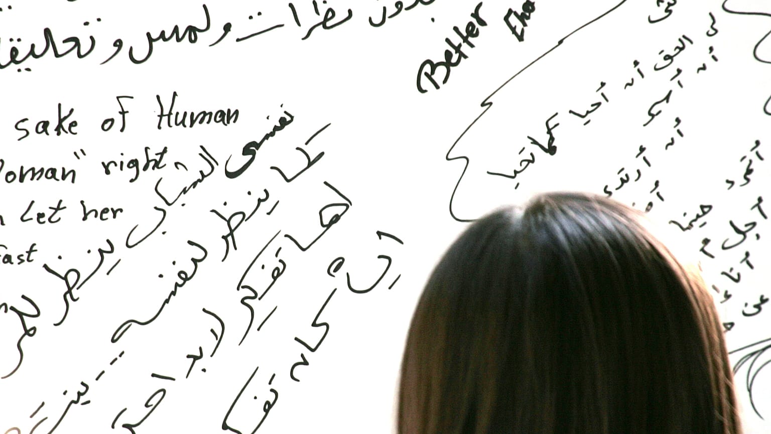  معرض "مناهضة التحرش الجنسي" في القاهرة، 18 مايو 2007. 