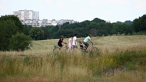 Frankfurt's green rooftops and urban airways aim to keep the city cool 