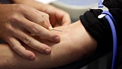 Gay donors will be able to give blood without any restriction after MPs voted the end of deferral 