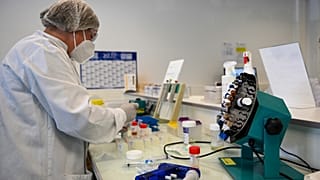 Testes à covid-19