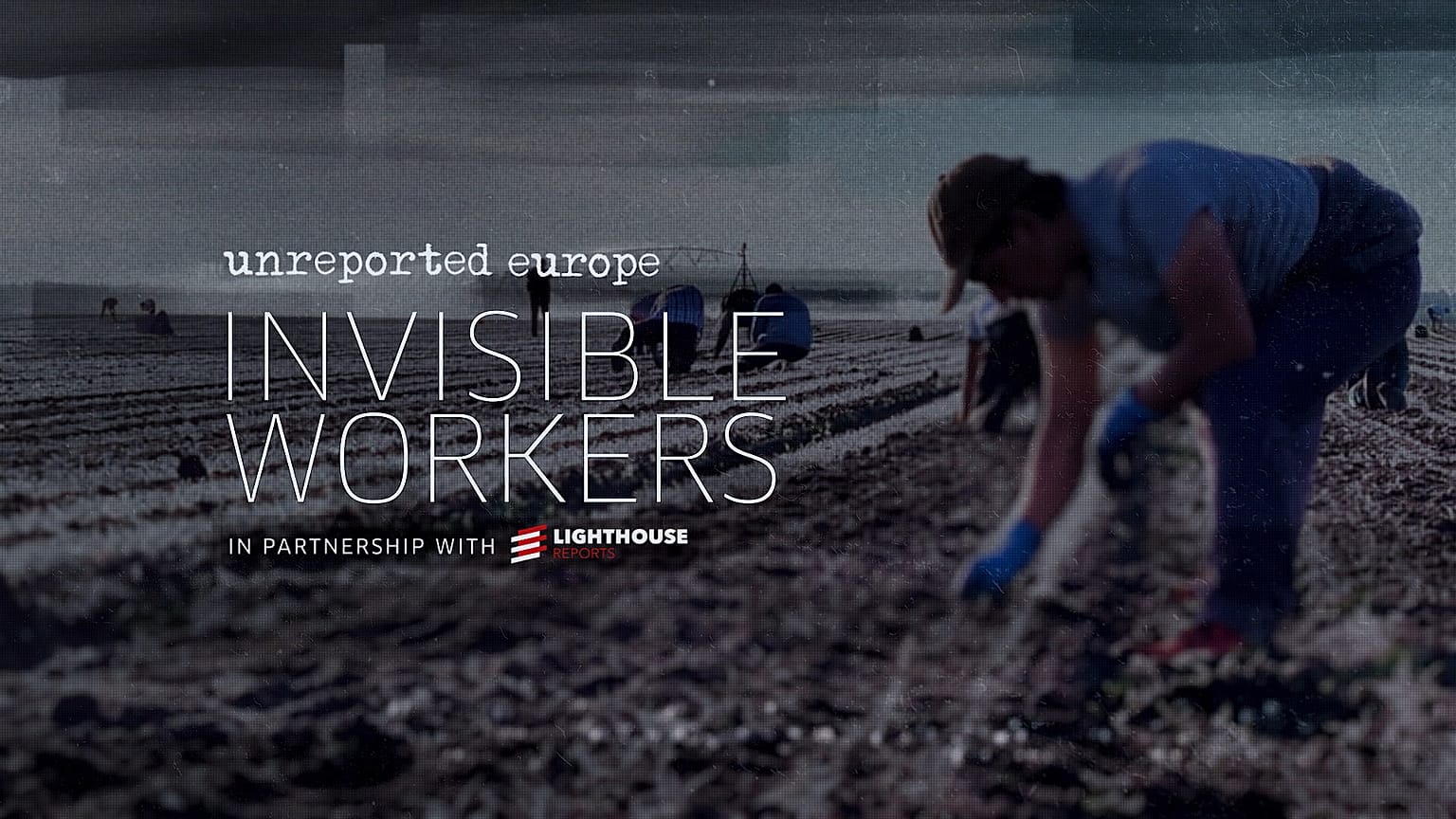 Invisible workers: Underpaid, exploited and put at risk on Europe’s farms