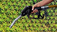 There might be palm oil in your fuel tank