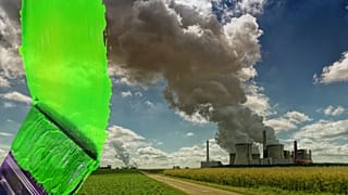 Greenwashing is used to hide companies' negative impacts on the environment, as well as to entice shoppers.