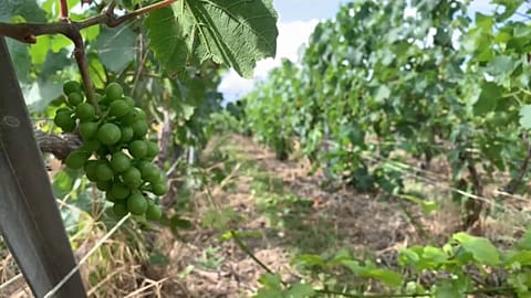 The workers, mainly migrants, described hunger, hard days of labor, sometimes without pay, and without a contract.