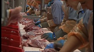 Három ausztriai vágóhíd tizenkét alkalmazottja lett koronavírus-fertőzött