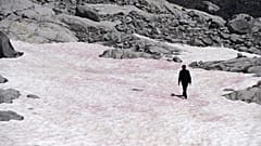 Clima: ¿Por qué ha aparecido 'nieve de sangre' en los Alpes italianos?