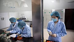 Bubópestis miatt rendeltek el készültséget egy kínai városban