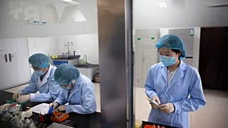 Bubópestis miatt rendeltek el készültséget egy kínai városban